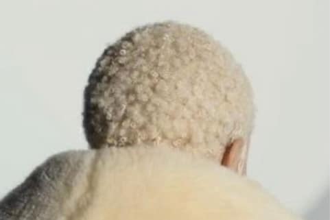 Doja Cat Hair Controversy Explained