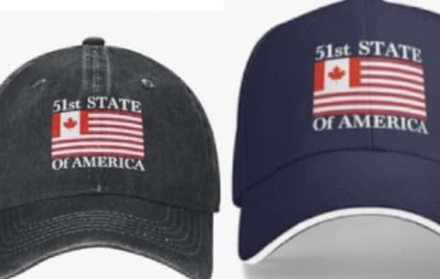 Amazon 51st State Merch Goes Viral