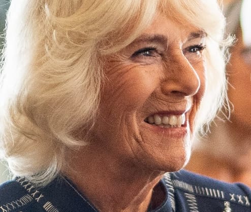What Happened To Queen Camilla Chest Infection Update