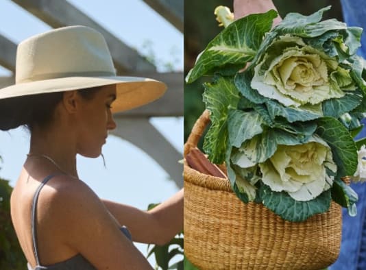 Meghan Markle Instagram Cabbage Post Fake Controversy