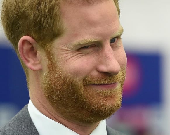 Prince Harry Visa Release Immigration Files Revealed