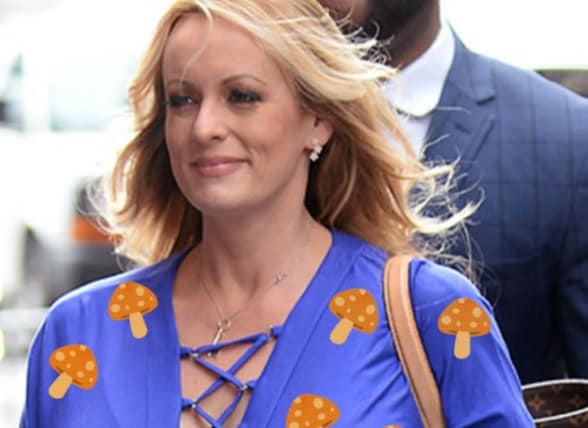 Did Stormy Daniels Wear Mushroom Dress To Trump Trial