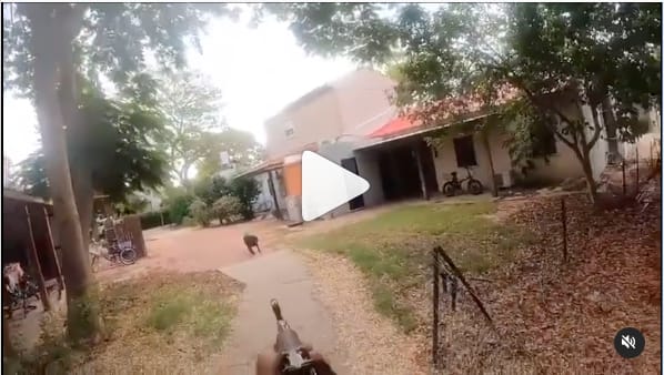 Hamas shoots dog video