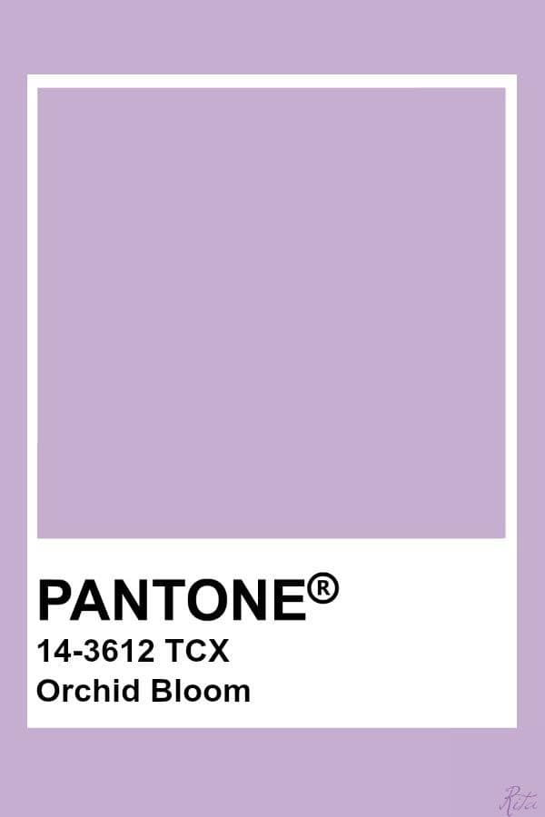 Pantone 14-3612 - Orchid Bloom