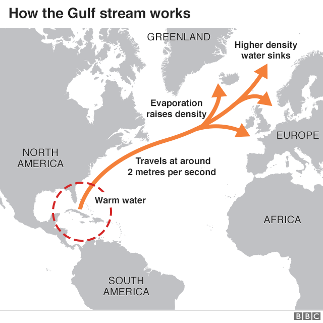 Gulf Stream