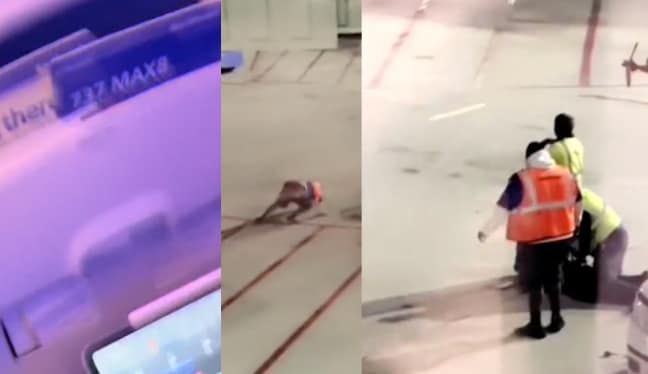 passenger jumps out of plane