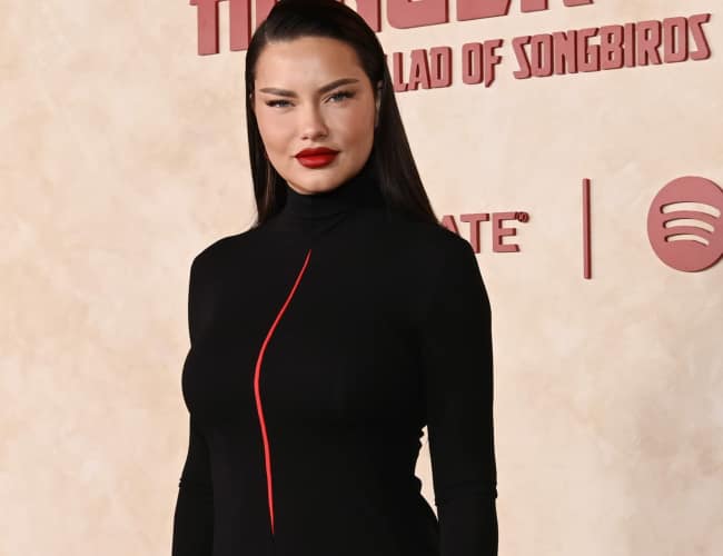 Adriana Lima marries in secret