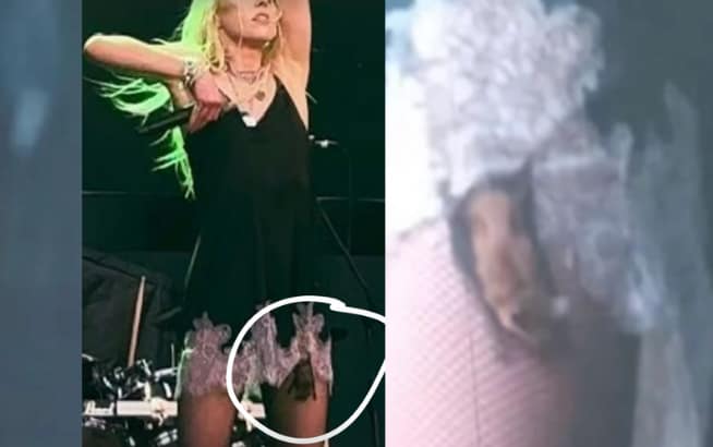 Are Flying Bats Dangerous? Taylor Momsen Bat Video Rabies Shot