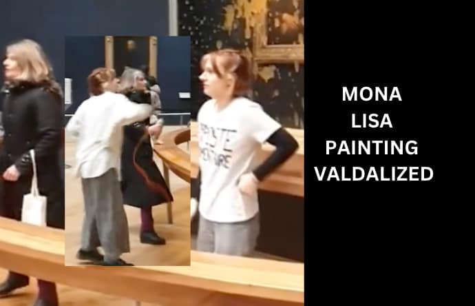 Watch Mona Lisa Painting Soup Vandalized Video