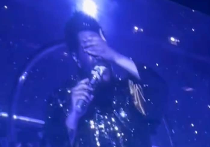 The Weeknd Flashed At Concert Video