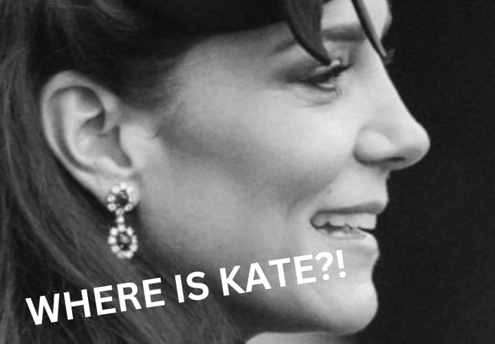 Is Kate Middleton Terminal? Claims Allege We Won't See Her For The Rest Of The Year