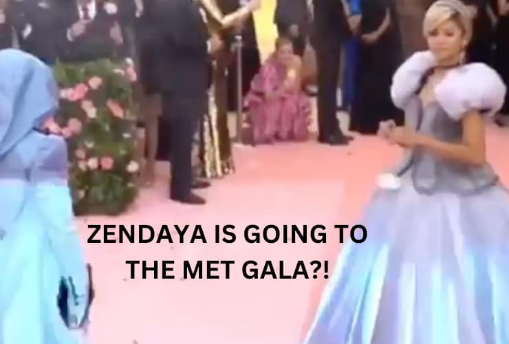 Zendaya Met Gala 2024 First Appearance In 5 Years?