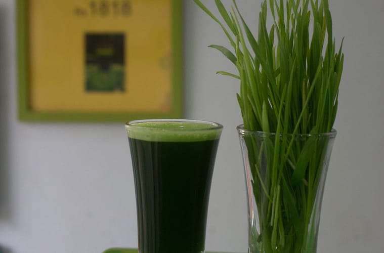 chlorophyll benefits