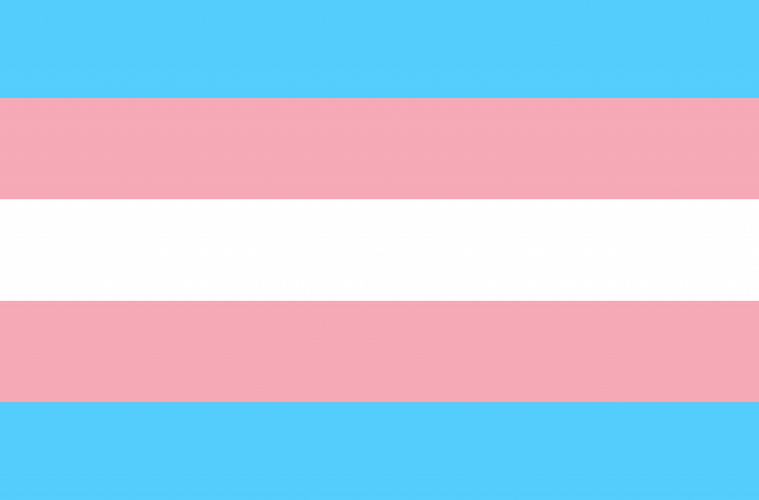 Trans flag