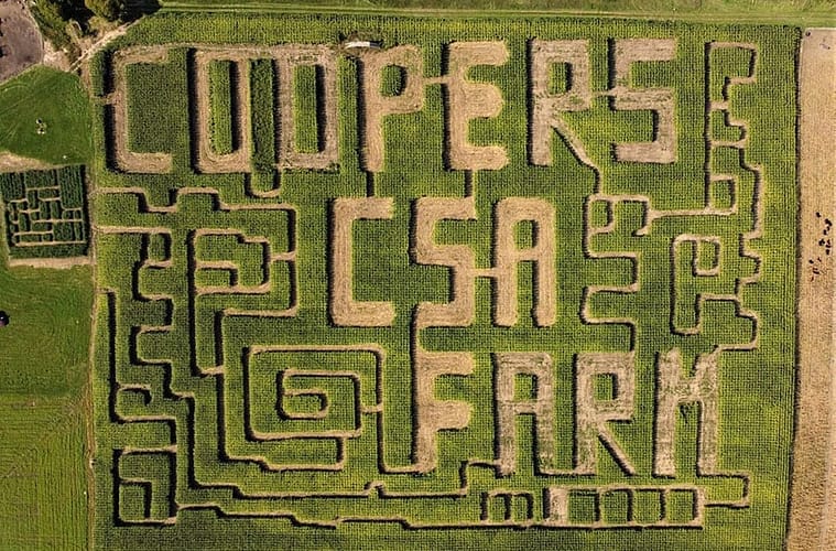 Pumpkin Patches and Horror Houses: Things To Do This October