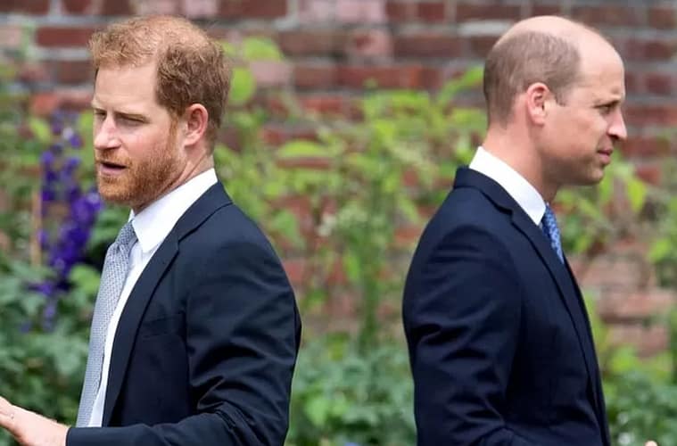 prince harry and prince william