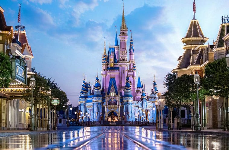 black bear wanders into disney world florida