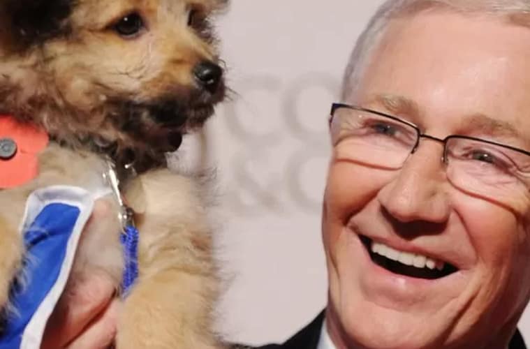 battersea dogs and cats home