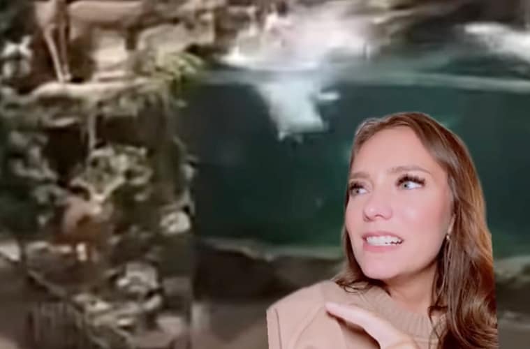 Leeds Bass Pro Shop Video Man Jumps In Water Naked