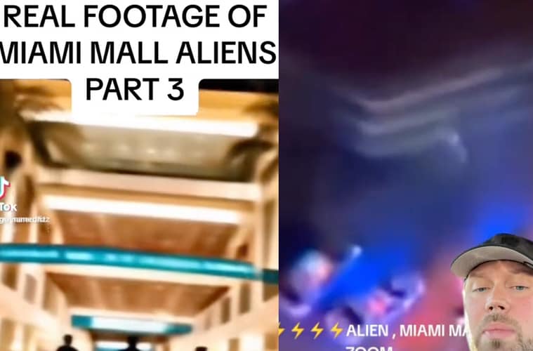 Bayside Mall Miami Alien Video Leaked