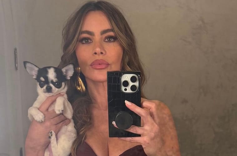 Sofia Vergara Says I Love You To New Boyfriend?