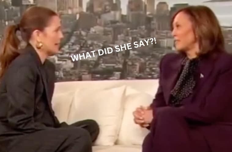 Drew Barrymore Mamala Explained Kamala Harris Interview