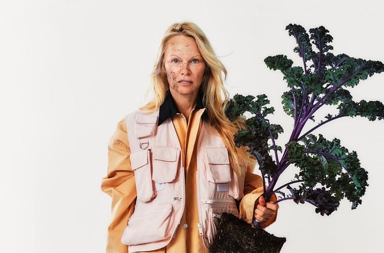 Pamela Anderson New Cookbook Better Homes and Gardens