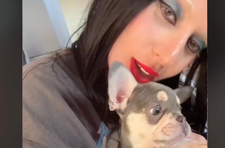 Lady Gaga New French Bulldog Puppy Tik Tok
