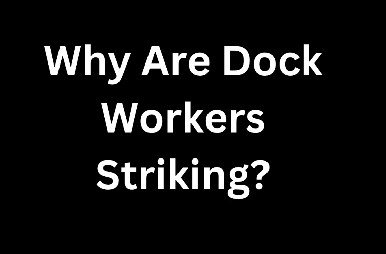 Why Are Dock Workers Striking?