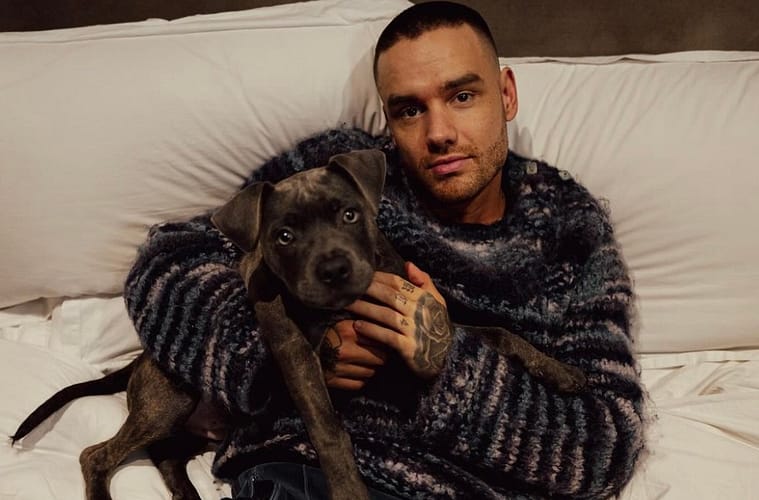 Liam Payne's Family Statement Following His Death