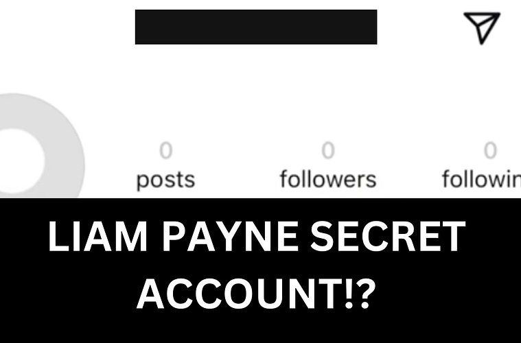 Liam Payne Secret Instagram Account Revealed?