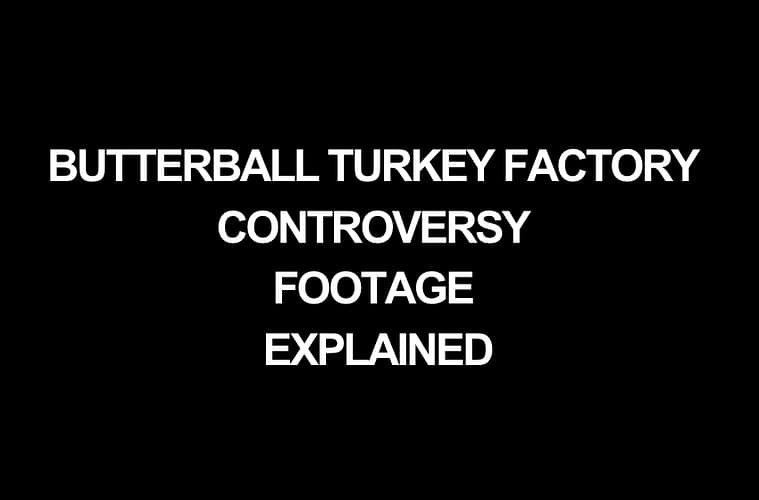 Butterball Turkey Factory Controversy Footage Going Viral Explained