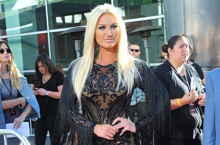 Brooke Hogan Twins Announcement on Social Media