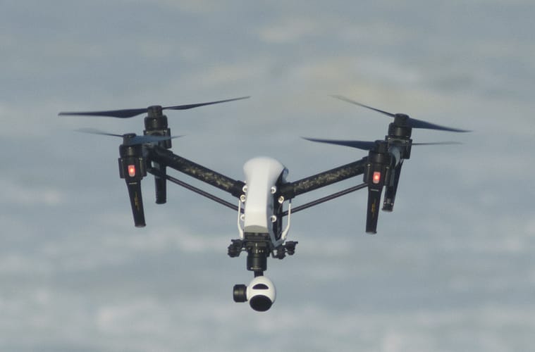 Drones Proven to Prevent Grizzly Bear Attacks, Study Shows