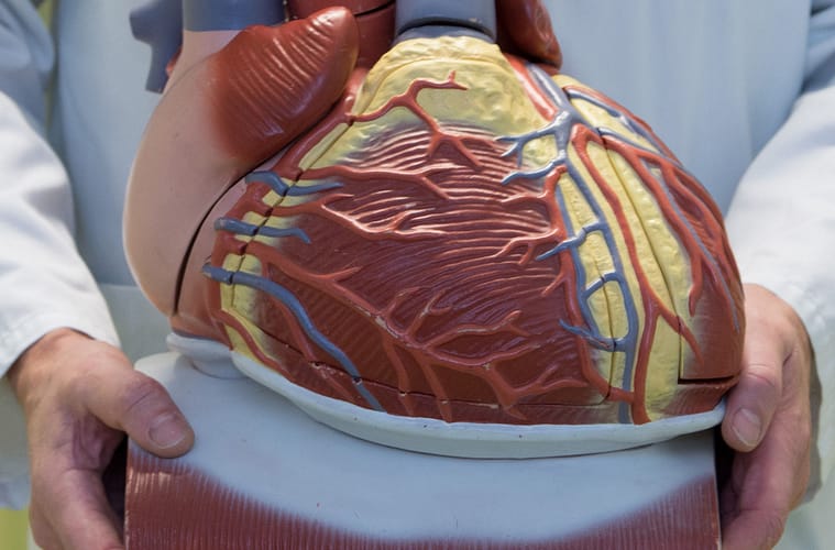 Lab-Grown Heart Patch: A Breakthrough in Heart Failure Treatment