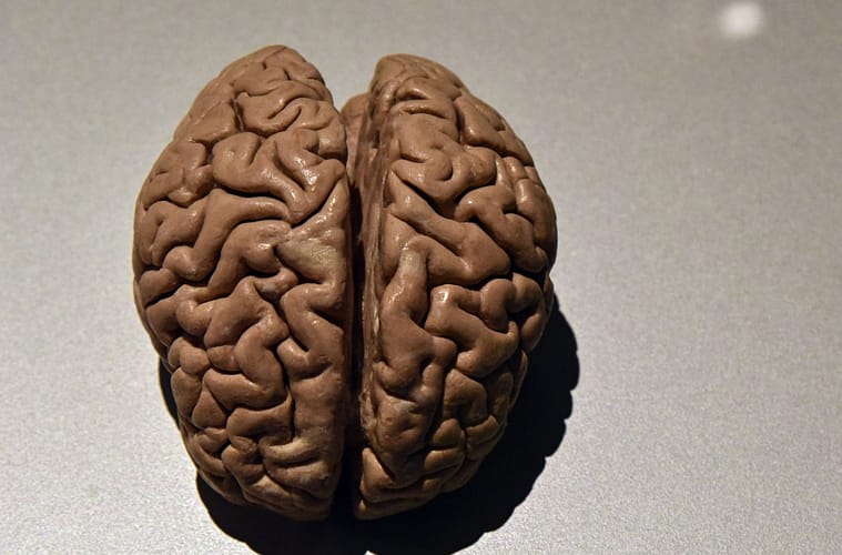 Higher Education Linked to Faster Dementia Progression, Study Finds