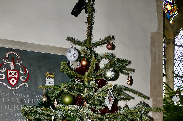 Belgians Warned Against Eating Christmas Trees