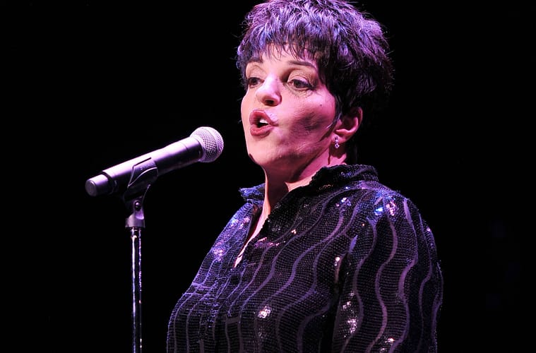 Liza Minnelli "Disappointed" She Never Became a Mother, Says Friend