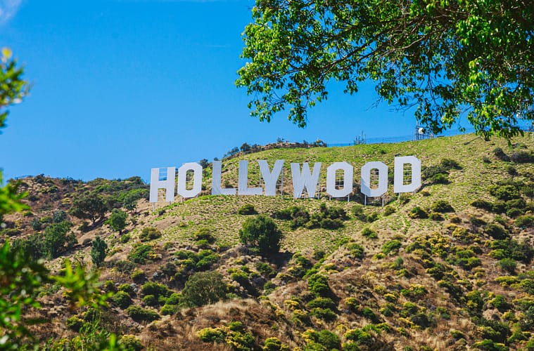 Veteran Actress Dalyce Curry Found Dead in Los Angeles Wildfires