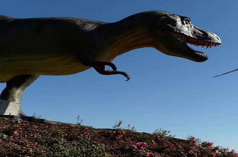 UK's Biggest Dinosaur Footprint Site Found