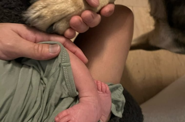 Milo Ventimiglia and Jarah Mariano Welcome Their First Child