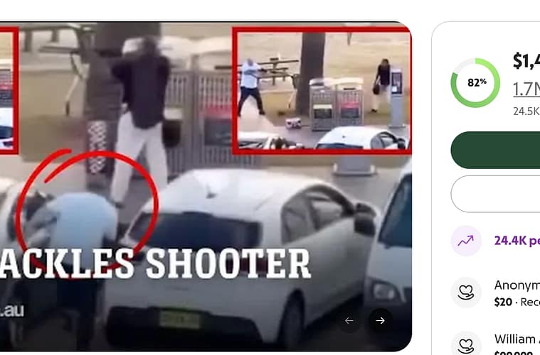 Bondi beacher hero go fund me