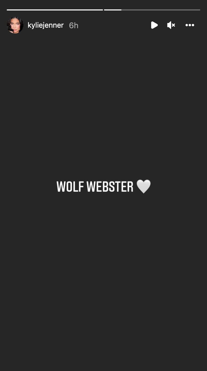 Wolf Webster