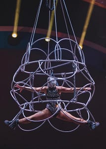 Pink Cancels Bern Show Summer Carnival