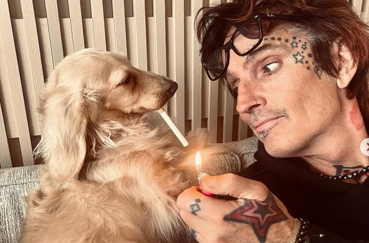 Brittany Furlan and Tommy Lee's Dog Coyote Attack