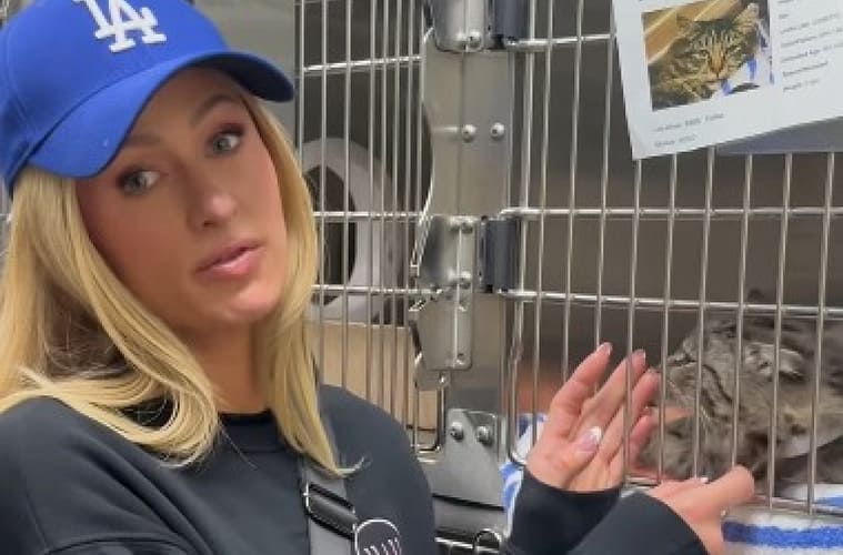 Paris Hilton Helps Reunite Lost Cat with Owner After LA Wildfires