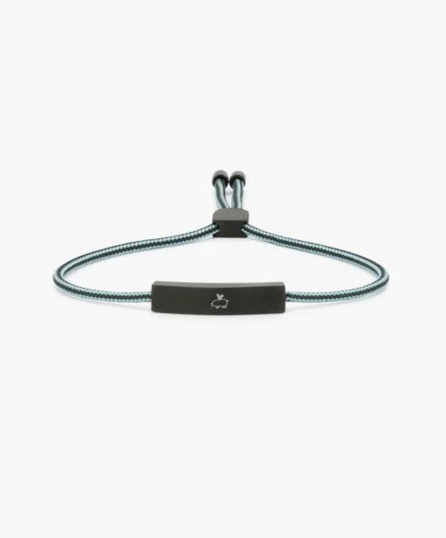 flying squirrel motorcycle